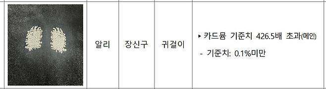 [서울=뉴시스]알리 귀걸이. 2024.11.08. (사진=서울시 제공)  *재판매 및 DB 금지