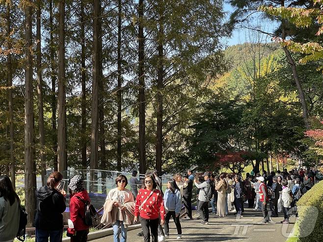 청남대 가을 축제장을 찾은 관광객들.(청남대 제공)2024.11.10/뉴스1