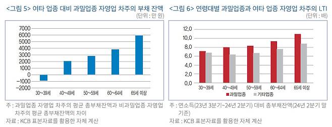 한국금융연구원 ‘고령층 자영업 차주의 부채 현황과 시사점’ 보고서 발췌.