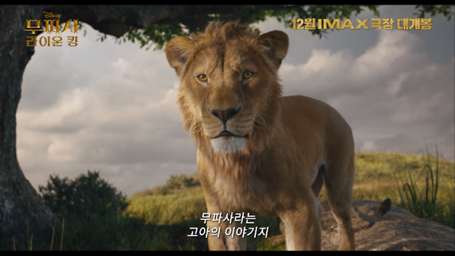 영화 '무파사: 라이온 킹' 예고편 스틸. 사진=월트디즈니컴퍼니코리아