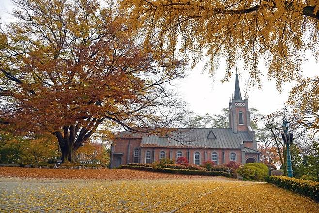 아산만 가장 안쪽인 충남 아산시 공세리 역시 내포의 주요 지역 중 하나다. 사진은 가을 풍경이 완연한 공세리성당. 사진=서동일 기자