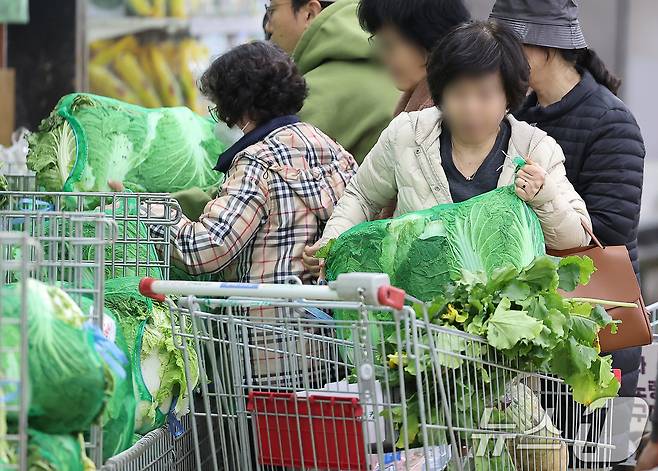 김장철을 앞두고 시민들이 배추를 고르고 있다. /뉴스1