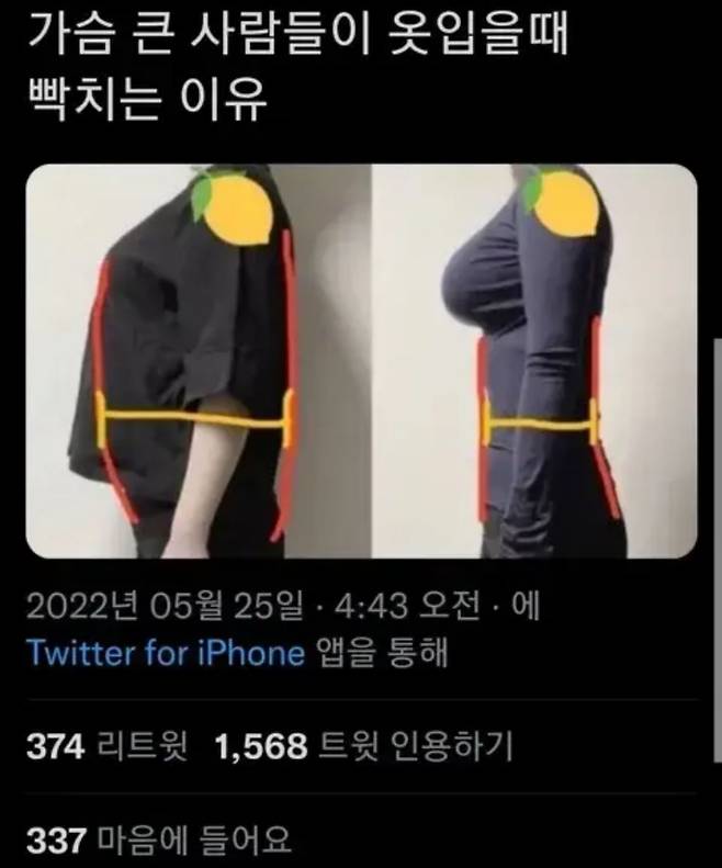 가슴 큰 여자들이 옷입기 짜증나는 이유