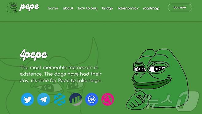 밈코인 프로젝트 페페. (페페 공식 홈페이지 갈무리)