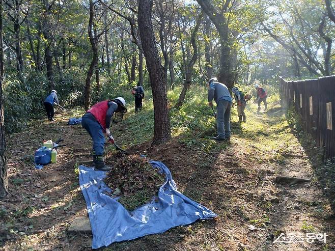 중앙공원에서 방화선 작업을 하고 있는 모습. (사진제공=부산시설공단)