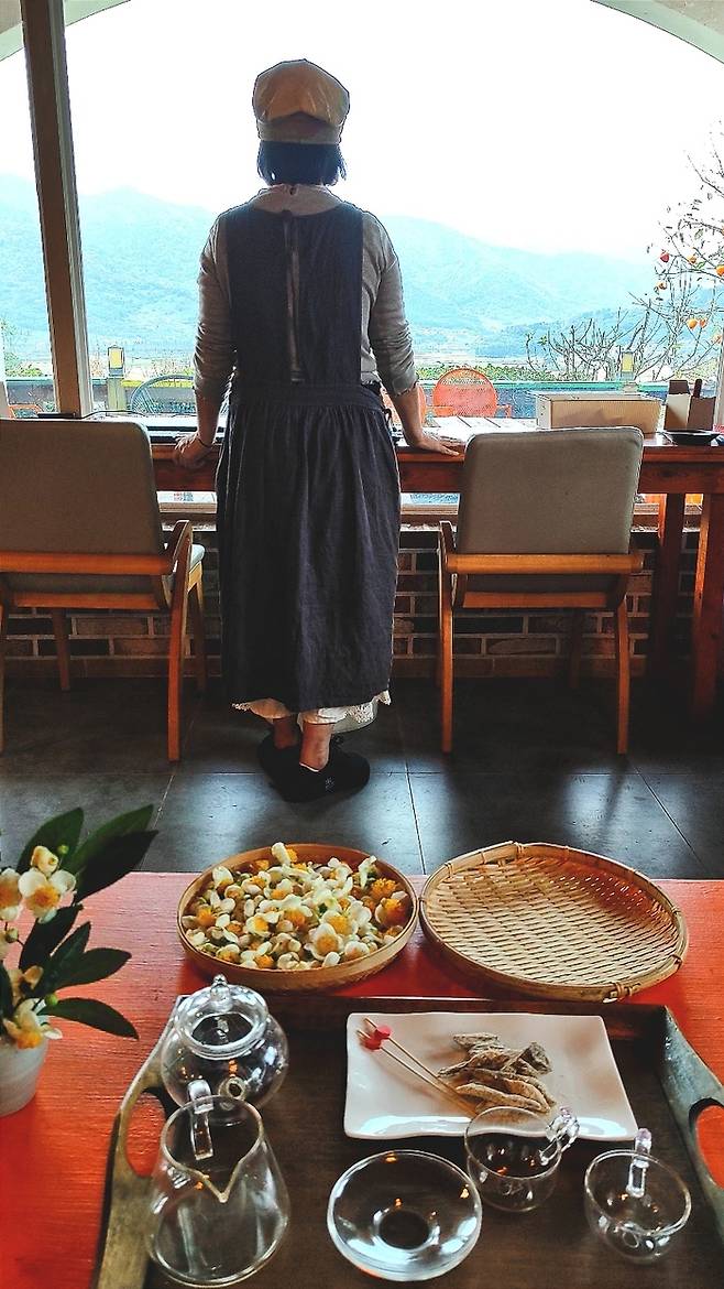 꽃다연. 사진제공|김관수(여행작가)