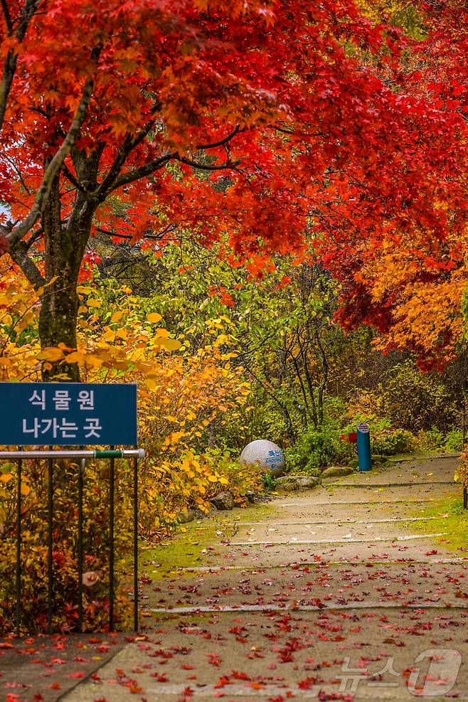 국립한국자생식물원(한국수목원정원관리원 제공) /뉴스1