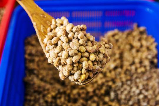 <사진: 아이클릭아트>