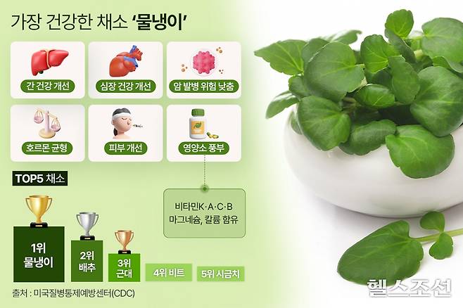 물냉이가 미국질병통제예방센터에서 선정한 건강한 채소 순위 1위를 차지했다./그래픽=김민선