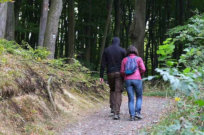 모든 40대에서 시속4.8㎞ 속도로 매일 160분 이상 걸으면 기대수명이 78.6세에서 84세로 5.4년 늘어난다는 연구 결과가 나왔다. [사진 출처 = 픽사베이]