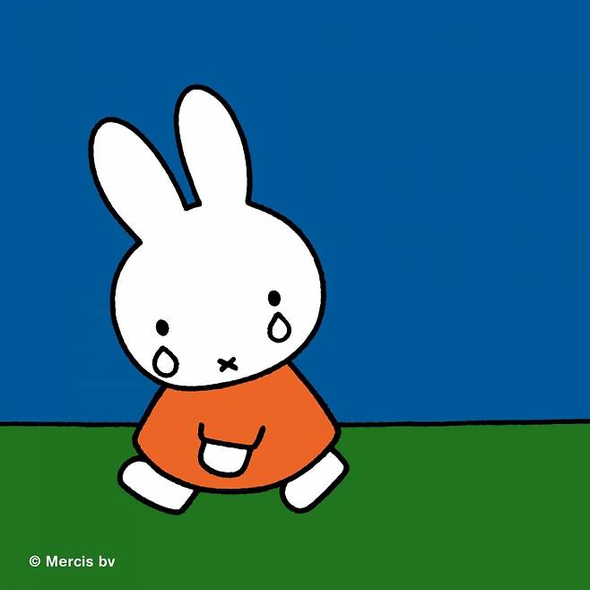 간결한 특징을 지닌 '미피'는 70년간 전 세계 아이들의 가장 친한 친구로 자리잡았다. /사진=(주)피플리