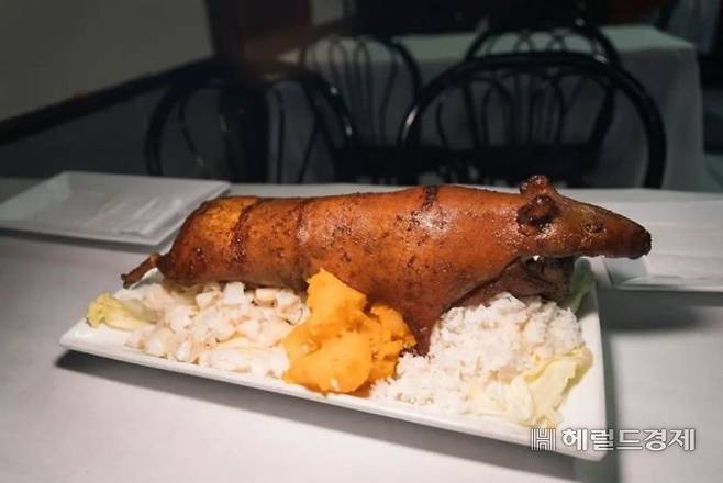 미국 뉴욕의 한 식당에서 판매중인 기니피그를 구운 메뉴가 화제가 되고 있다. 가격은 약 15만원대다. [뉴욕포스트]