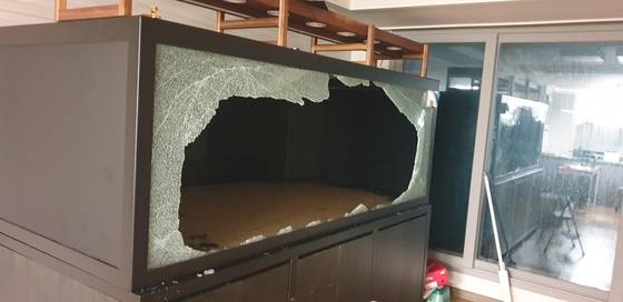 초대형 어항 폭발 사진