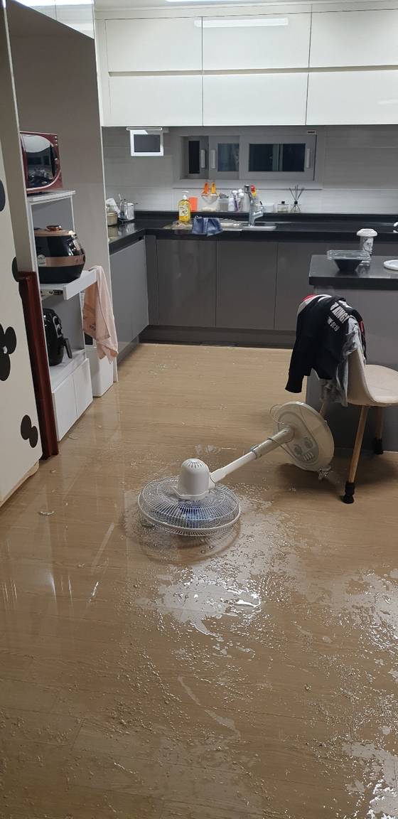 초대형 어항 폭발 사진