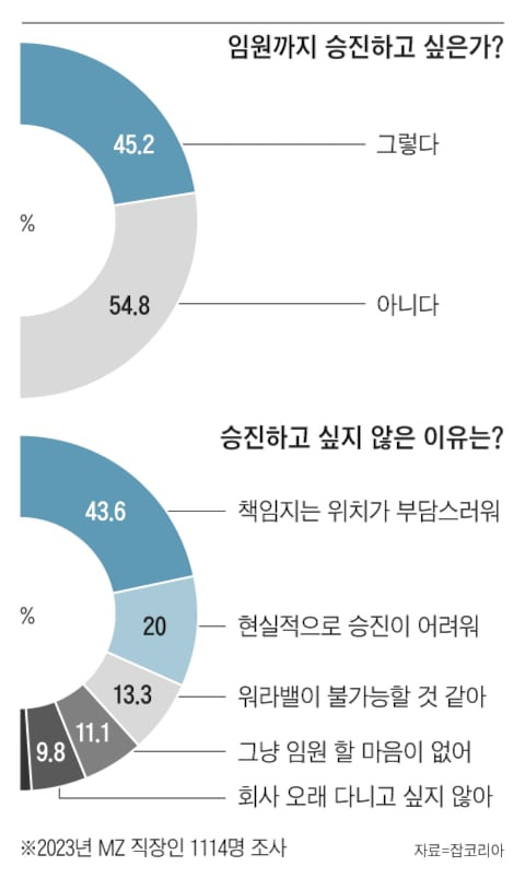 2030 MZ 직장인의 '승진'에 대한 속마음. 과반이 "임원으로 승진을 원하지 않는다"고 했다. '책임질 일이 싫어서'와 '승진이 현실적으로 불가능해보여서'가 각각 1,2위를 차지했다. /그래픽=송윤혜