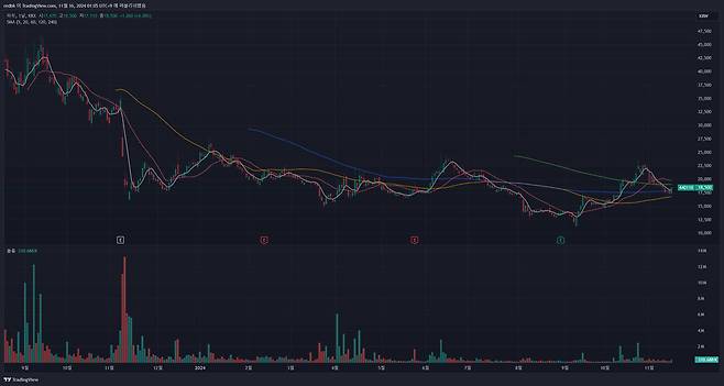 파두(종목 코드 : 440110)의 주가 흐름을 보여주는 일봉 차트 / 출처=트레이딩뷰