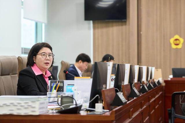 이서영 경기도의회 교육행정위원. 경기도의회 제공