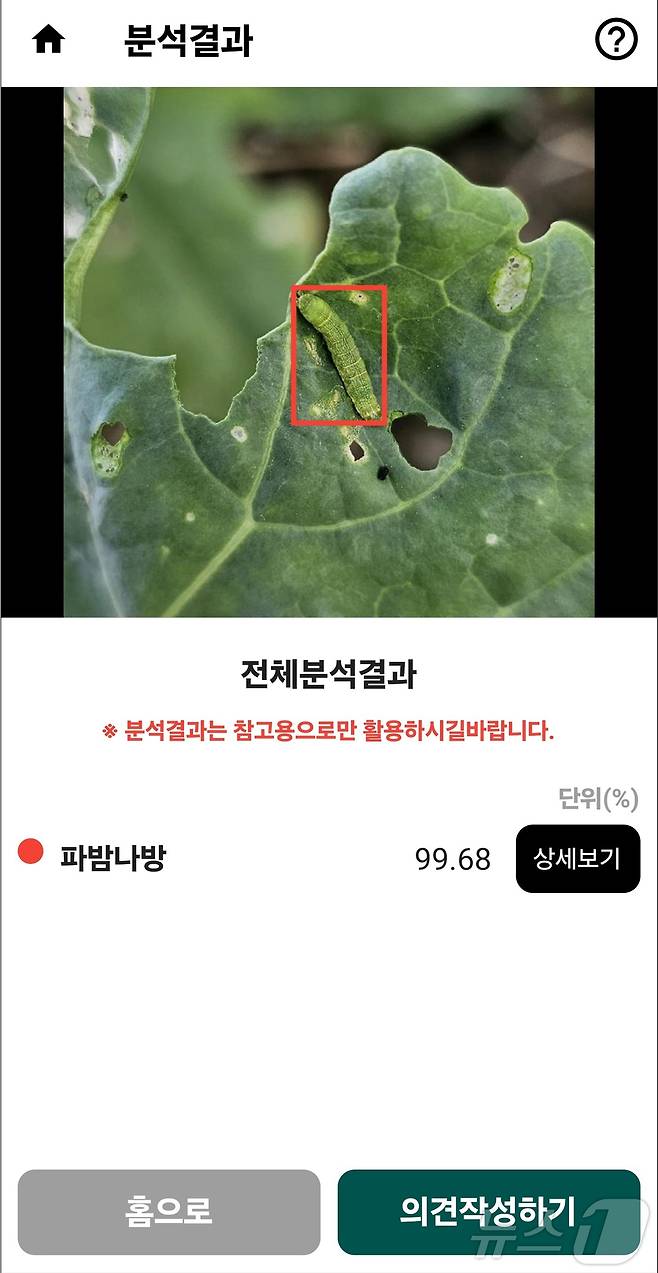 ‘스마트 병해충 진단 서비스’ 앱 갈무리.(제주도 제공)