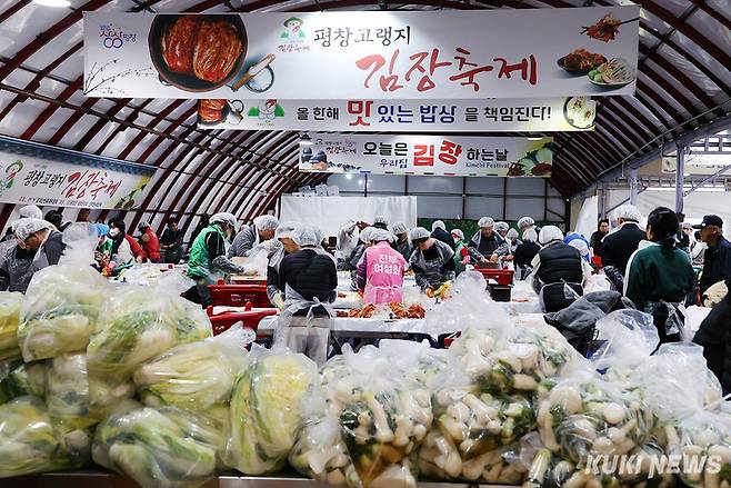 평창군 진부면 송어축제장에서 열린 2024 평창고랭지김장 축제(위원장 최기성)를 찾은 방문객들이 김장을 담그고 있다. (사진=축제위)