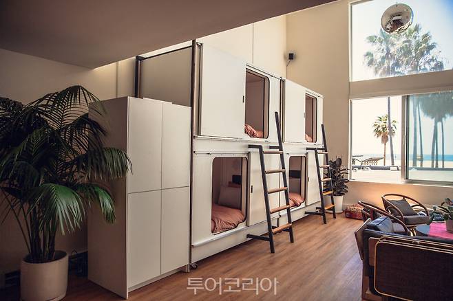 미국 로스앤젤레스 '스테이 오픈 베니스 비치'&nbsp; &nbsp;/사진-부킹닷컴