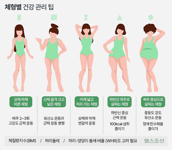 체형별 특성에 맞춰 생활습관을 개선하면 건강 유지에 도움이 된다./그래픽=김민선