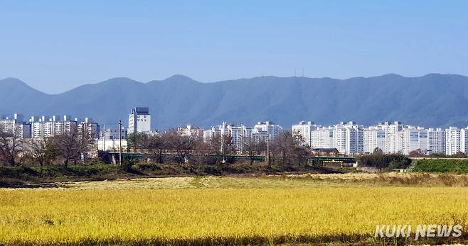 "농촌과 도시가 하나로, 집약도시 증평읍 전경"한순구 연세대 경제학과 교수는 “단적인 예로 우리나라에 인터넷이 빨리 보급된 이유 중 하나는 아파트라는 밀집 거주 형태를 선호해 케이블 설치비용이 적게 들기 때문”이라며 “규모의 경제 (economies of scale) 관점에서 보면 인구가 줄어드는 작은 농촌 도시도 하나의 도심을 정해서 그곳에 최대한 사람들이 모여 살면 경제의 활력이 살아나게 된다”고 말한다.&nbsp;