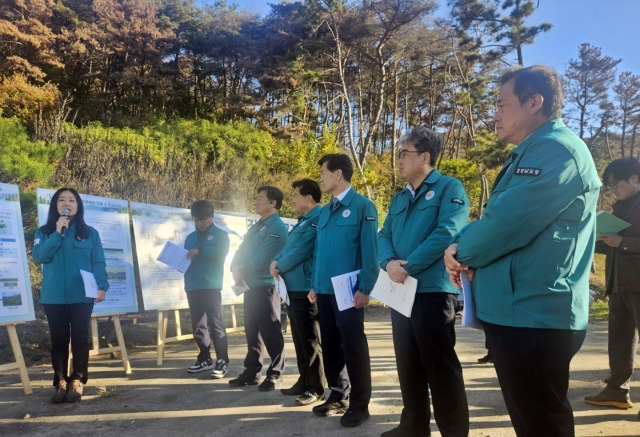 19일 경남 밀양시 무안면 마흘리에서 열린 소나무재선충병 피해지 방제 현장 점검에서 임상섭 산림청장, 박명균 경남도 행정부지사, 안병구 밀양시장 등 중앙정부와 지자체 관계자들이 방제 현황을 점검하고 있다. 경남도 제공