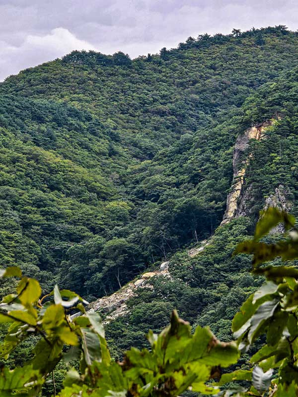 물침이골 산사태 현장. 바데산을 오른 후 동대산으로 하산할 경우 이 산사태로 인해 선택할 수 있는 등산로가 제한적이란 점을 반드시 사전에 인지해야 한다.