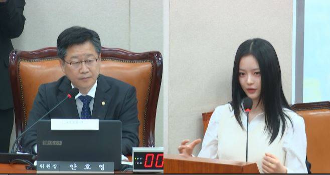 지난 10월 15일 국회 환경노동위원회 국정감사에 참석한 뉴진스 하니