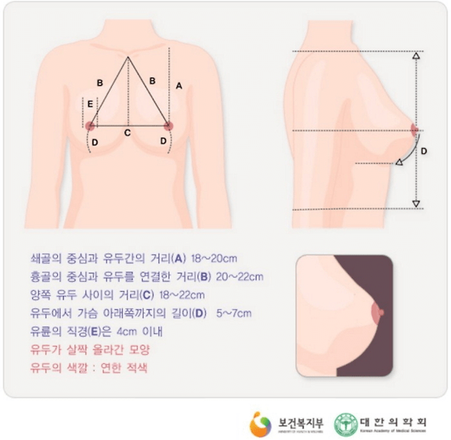 image.png 아름다운 가슴 모양