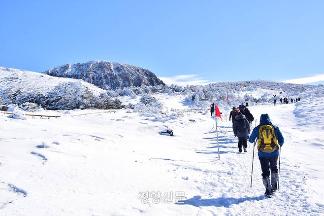 한라산 겨울 산행. 제주도 제공