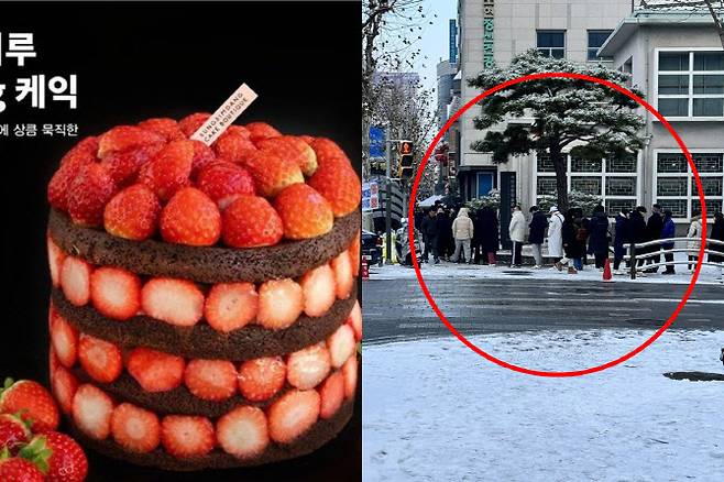 지난해 판매한 딸기시루 케이크와 성심당 앞 오픈런을 하는 시민들.[사진 = 성심당, 엑스 캡처]
