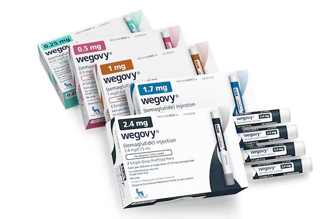 비만 치료제를 온라인에서 불법으로 판매하는 359건의 게시물이 적발됐다./사진=조선일보DB