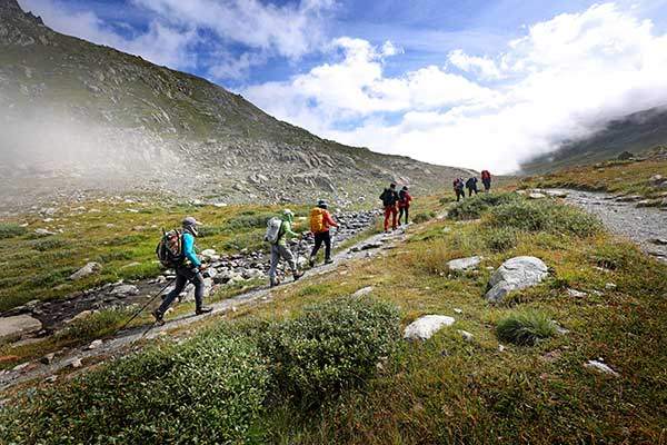 산길을 따라 케이블카가 운행하는 마을 피셔알프로 가는 길. 호수와 야생화가 어우러진 반전 분위기가 있는 꽃길이었다.