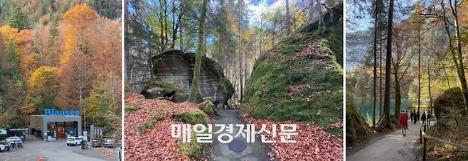 블라우제 호수로 가는 길 / 사진=홍지연 여행+ 기자