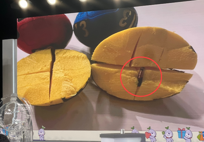 추첨볼에 삽입된 ‘무선인식(RFID)칩’ [김민주 기자]