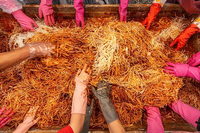 "더는 친정 엄마표 김장 김치를 맛볼 수 없게 됐다"는 주부도, 각지에서도 온 지역아동센터 교사들도 월동 준비하듯 김치를 함께 담근다. 지난 15일 양평 '큰삼촌농촌체험마을'을 찾은 체험객들이 나누어 쓸 김장 속재료를 버무리고 있다. / 임화승 영상미디어 기자