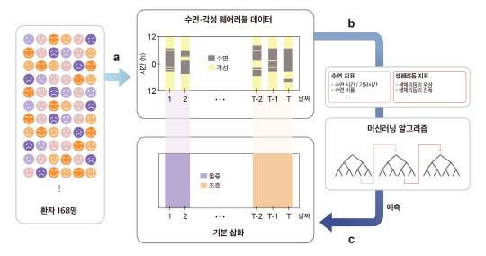 IBS는 수면-각성 데이터만으로 내일의 기분을 높은 정확도로 예측할 수 있는 기술을 개발했다. 사진은 수면-각성 데이터 기반의 기분 삽화 예측 모델 개념도. IBS 제공