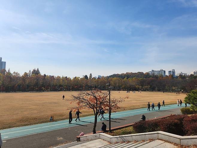 20241125_115704.jpg 늦가을 보라매공원 사진 보고 가라
