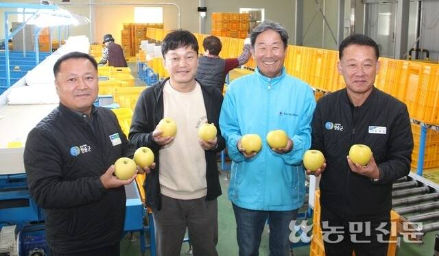 경북 청송 현서농협 윤춘헌 조합장(맨 오른쪽), 황금사과 공선출하회원 정태종씨, 김진업 전무(맨 왼쪽) 등이 농산물산지유통센터에서 황금사과를 보여주며 웃고 있다.
