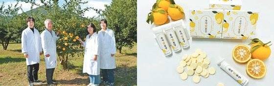 전라남도농업기술원 과수연구소 연구진들(왼쪽)과 유자 가공 과정에서 버려지는 유자씨와 유자박을 활용해 만든 유자 발포정 제품. [사진 농촌진흥청]