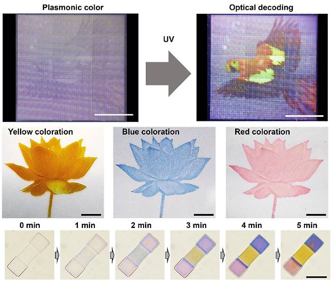 은 나노 입자를 이용한 은닉형 위조 방지 기술로 만든 위조 방지 정보. 그림 UNIST 제공