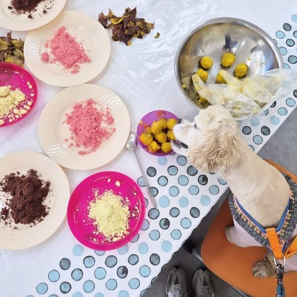 고구마 경단 만드는 도중 자제력을 잃어버린 무무