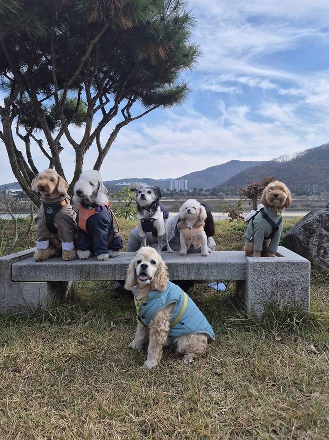 커피 인터뷰 카페 야외정원에서 강아지들 단체 사진