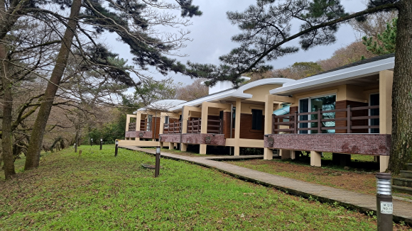 제주 '절물자연휴양림 숲속의집' [사진=제주시]