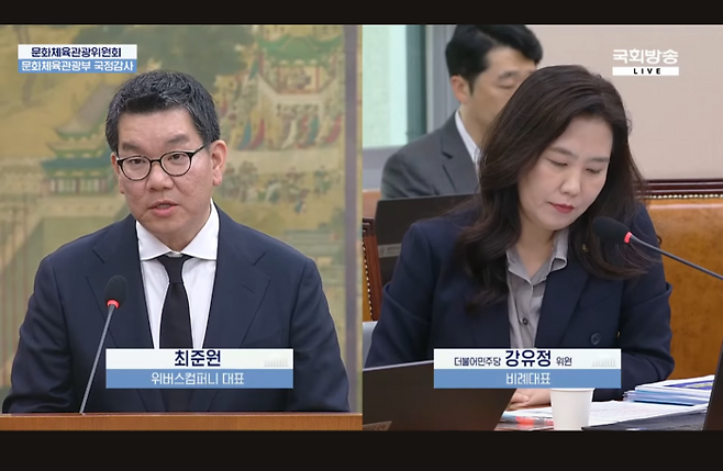 2024년 문화체육관광부 국정감사 생중계 . NATA 국회방송 유튜브 갈무리