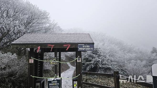 [제주=뉴시스] 27일 오전 7시께 한라산국립공원 관음사탐방로 해발 1500m 삼각봉대피소에는 상고대(서리꽃)와 함께 탐방로에 눈이 쌓였다. 삼각봉대피소 통제소 주변 경관인 삼각봉은 안개가 덮여서 보이지 않았다. 이날 산지에 대설특보가 내려짐에 따라 한라산국립공원 7개 탐방로가 전면 통제된 가운데 통제조치 직전인 오전 5시에 출발한 한 탐방객이 삼각봉대피소까지 갔다가 돌아오면서 경관을 찍었다. (사진=독자 제공) 2024.11.27. photo@newsis.com