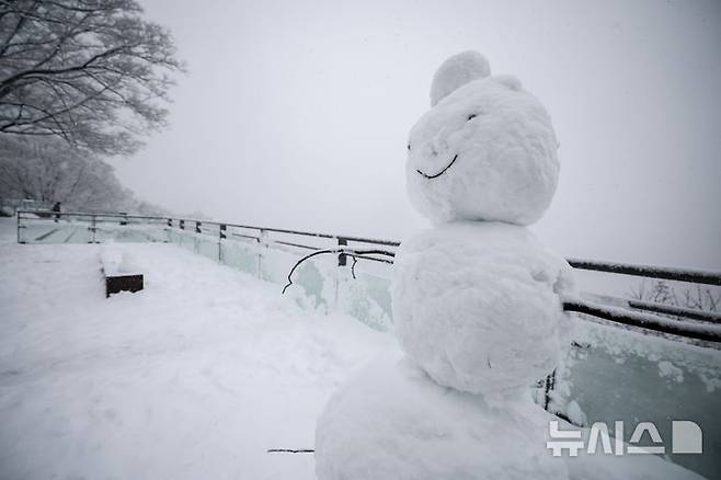 [서울=뉴시스] 정병혁 기자 = 27일 서울 중구 남산에 눈사람이 세워져 있다. 2024.11.27. jhope@newsis.com