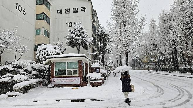 분당 야탑동 목련마을 [촬영 이우성]