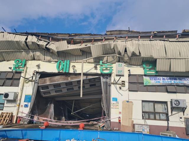 안양 동안구 평촌동 안양농수산물도매시장 지붕이 무너지는 사고가 발생했다. 독자 제공